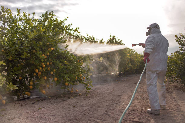 Trusted Columbus Junction, IA Pest Control Experts
