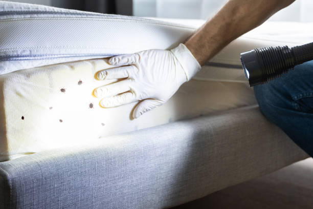 Best Affordable Pest Control Services  in Columbus Junction, IA