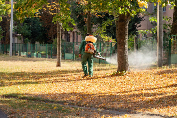 Wasp Removal Services in Columbus Junction, IA